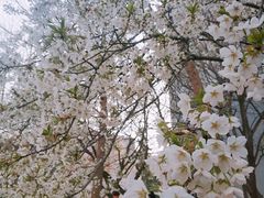-山东师范大学(千佛山校区)