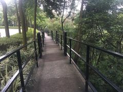 -广州市帽峰山景区
