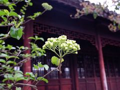 -拙政园