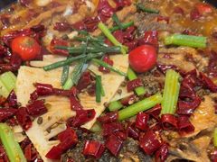 -老板恋上鱼(恒隆广场店)