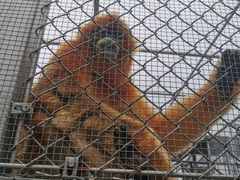 -西安秦岭野生动物园