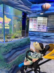 -酷嗒动物文化乐园(cutezoo西溪乐天城店)