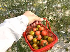 -广富林郊野公园