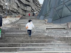 -辽宁古生物博物馆
