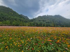 -贵阳市花溪国家城市湿地公园