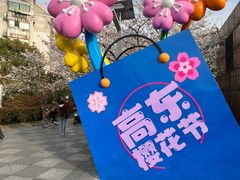 -高东镇樱花园