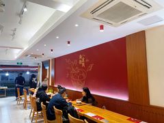 -海丝金凤(金鱼店)