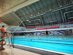 -二十一世纪饭店-游泳馆