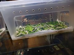 -三旗百汇商品城