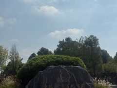 -眉山湿地公园(东坡区)
