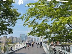 -映月湖中央公园