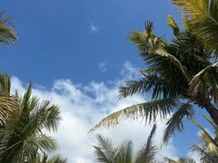 -精酿农场Brew Farm·沙漠绿洲餐厅