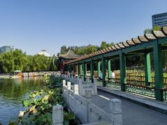 -莲花池公园