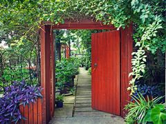 -谷咖啡·鲜花绿植花园餐厅