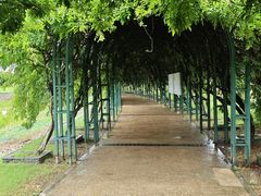 -杭州湾海上花田景区