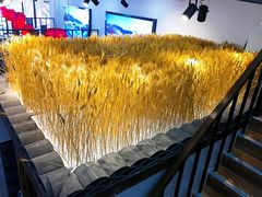 -山河屯江鱼馆