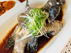 -顺峰(农展馆店)