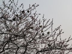 -颐和园