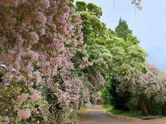 -国家植物园南园