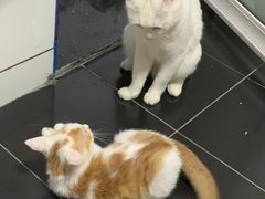 -富侨养生(康乾店)