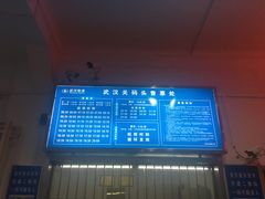 -武汉关码头(轮渡站)