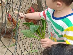 -广东花都香草世界旅游度假区