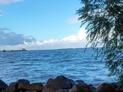 -上海吴淞炮台湾国家湿地公园