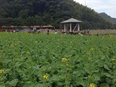 iphone_upload_pic-广州市石门国家森林公园