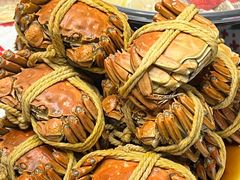 -斯普汇生蚝牛排馆(中骏世界城店)