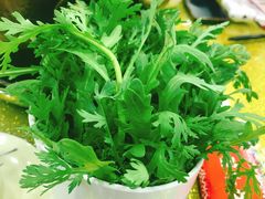 -赵氏老北京涮羊肉羊蝎子(蓝村店)