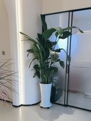 -悦色嘉丽科技美肤健康管理