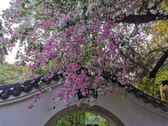 -深圳国际园林花卉博览园