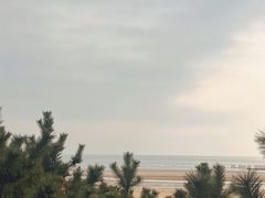-日照海滨国家森林公园