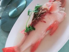 -壹零贰小馆(桂城石啃店)