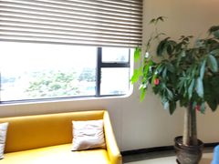 -柏乐口腔医院·舒适化无痛种植牙中心(东盟商务区院)