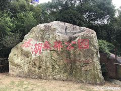 -瑶湖郊野森林公园