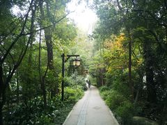 -成都市活水公园