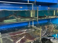 -滇香肴·云南菜蒸汽石锅鱼(云南北路店)