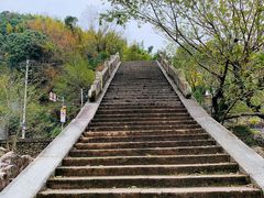 -鹿亭中村