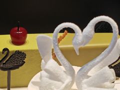 -BLACKSWAN黑天鹅(环球店)