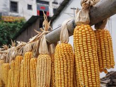 -新安江山水画廊风景区