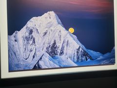 -罗红摄影艺术馆