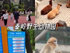 -西安秦岭野生动物园