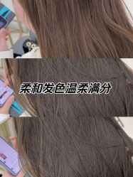 -爱维丽