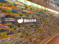 -猫的天空之城概念书店(印象城购物中心店)