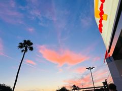 -In-N-Out Burger(LAX)