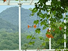 -杭州西湖风景名胜区-满觉陇四眼井