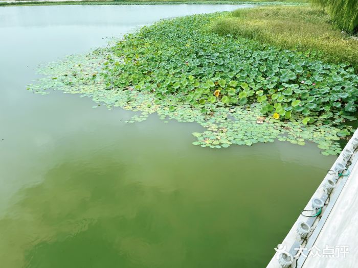 南海子公园图片