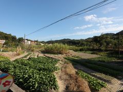 -红山村