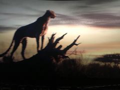 -博纳UA影城(KK Mall IMAX店)